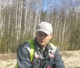 Андрей, 36 лет, Архангельск