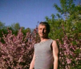 Aleksandr, 46 лет, Фастів