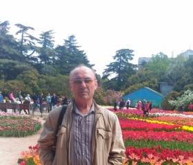 Viktor, 69, Sevastopol