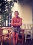 Анатолий, 38 лет, Ярославль