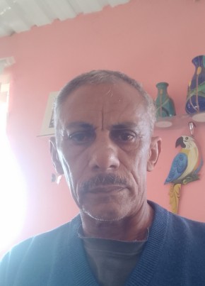 Roberto из Região de Campinas (São Paulo) 72 года