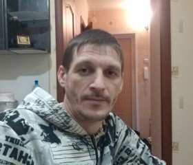 анатолий, 42 года, Пенза