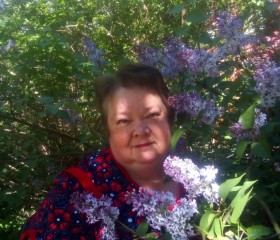 Светлана, 63 года, Вязьма