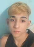 Ryan Panatto, 21 год, São Paulo capital