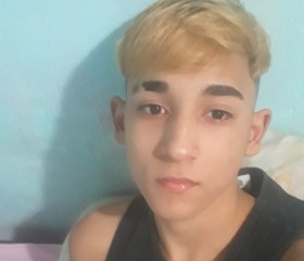 Ryan Panatto, 21 год, São Paulo capital