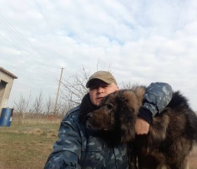 Алексей, 56 лет, Кривий Ріг