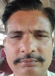 सोमेंद्र सिंह, 46 лет, New Delhi