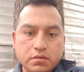 Victor, 33 года, Naucalpan de Juárez