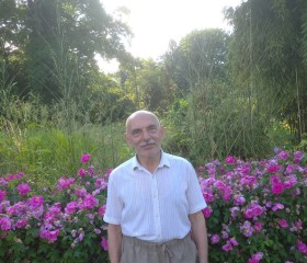 Сергей Гуфан, 71 год, Stuttgart