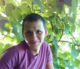 Вадим, 31 год, Тимашёвск
