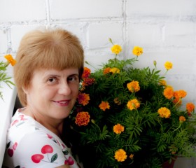 Людмила, 54 года, Боровичи