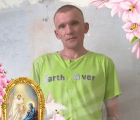 Дима, 43 года, Кольчугино