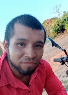 Oliver из Guajará Mirim 28 лет