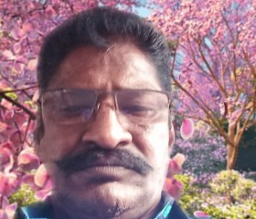 Chandrasekar, 63 года, Pollachi