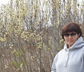 Дамира, 61 год, Челябинск