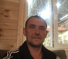Алексей, 43 года, Пестово