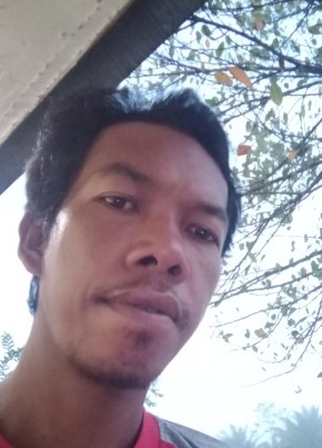 Arif, 36, Indonesia, Sampit