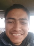 Henryjonas1, 25 лет, San Luis de la Paz (Estado de Guanajuato)