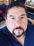 Patricio, 46 лет, San Antonio