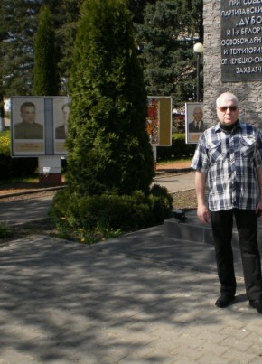 Александр, 69, Рэспубліка Беларусь, Чашнікі