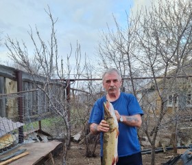 ALEXANDR KHOLM, 63 года, Астана