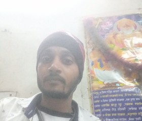 Kamlesh yadav, 28 лет, Ludhiana