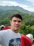 Andrew, 34 года, Talisay (Kanlurang Kabisayaan)