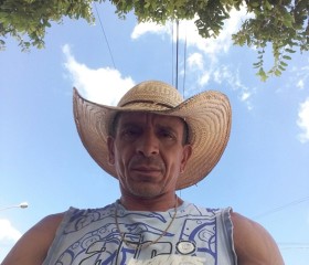 Marcelo silva, 47 лет, Catanduva