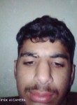 Ali tariq, 19 лет, سیالکوٹ