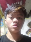Fenderjohn, 19 лет, Cainta