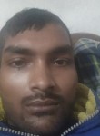 Govind Kumar, 25 лет, Chandigarh