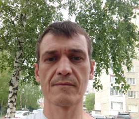 Антон Хохол, 44 года, Ижевск