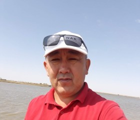 Мейрман, 50 лет, Алматы