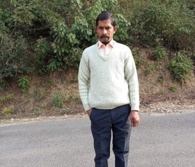 Bablu Kumar, 38 лет, Ludhiana