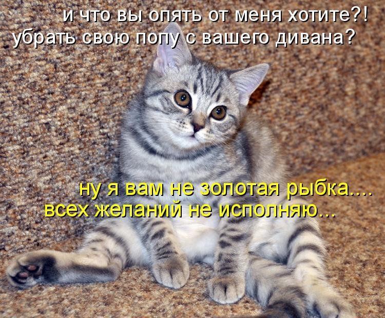 Картинки о животных смешные с надписями