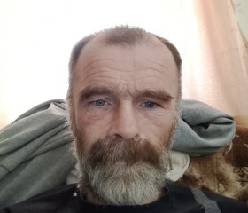 Viktor, 44, Alekseyevka