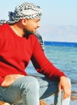 Mohamed, 33 года, المحلة الكبرى