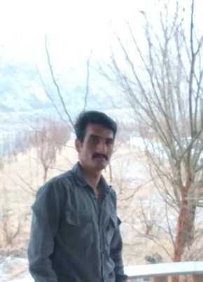 Reza, 31, كِشوَرِ شاهَنشاهئ ايران, زنجان