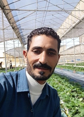 سامر из الإسكندرية 36 лет