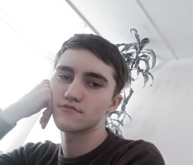 Андрей Казнин, 18 лет, Нижний Новгород