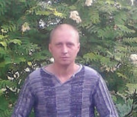 Павел, 40 лет, Краснодар