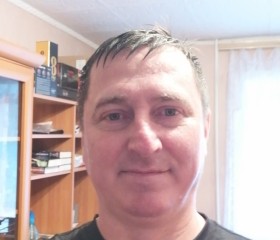 Дмитрий, 43 года, Артёмовский