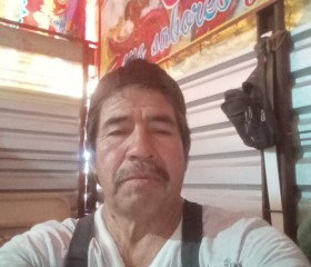 Alejandro, 61 год, Tlalixtac