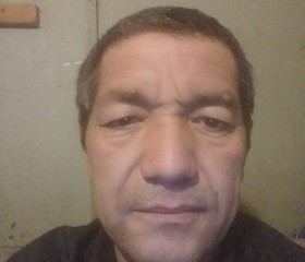 Коля, 55 лет, Железногорск (Красноярский край)