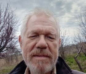 Viktor, 63, Energodar