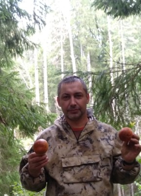 Алексей, 50, Россия, Гатчина