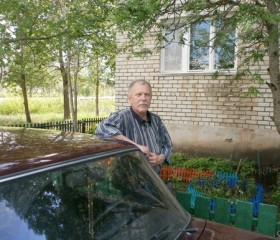 Александр, 72 года, Псков