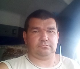 Сергей, 42 года, Красновишерск