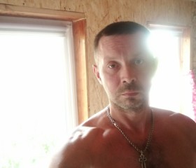 Михаил, 42 года, Архангельск