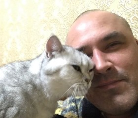 Petr, 57, Ulyanovsk